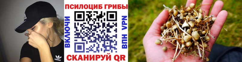 Галлюциногенные грибы мухоморы  Валуйки 